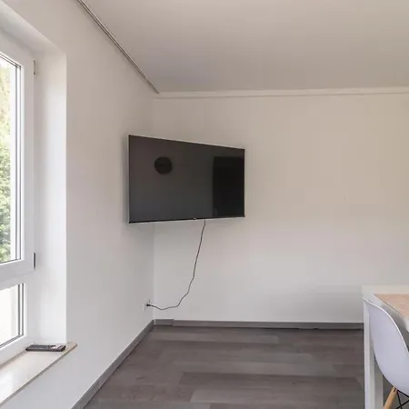 Unique: Geraeumige 4 Zimmerwohnung In Mit Sauna, Fitness Und Netflix Og * Tuttlingen